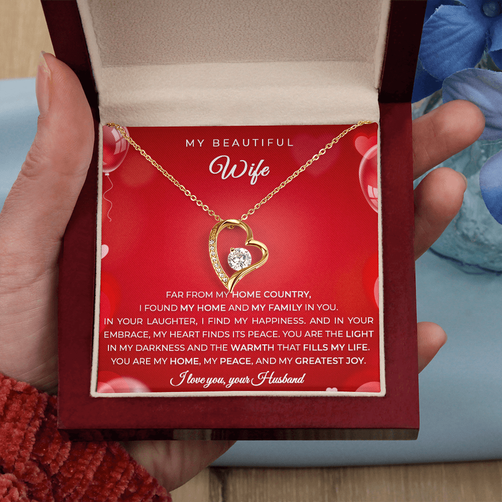 Gift from an Immigrant Husband to his Wife