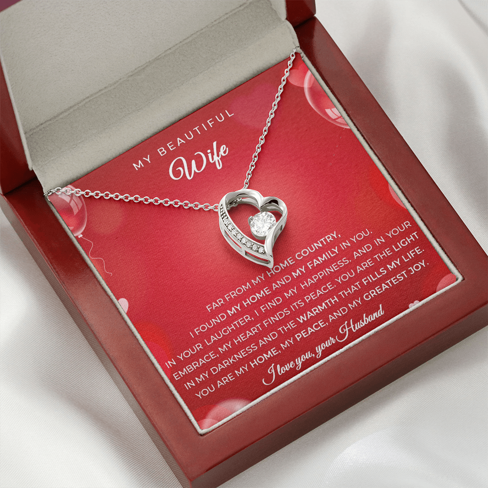 Gift from an Immigrant Husband to his Wife