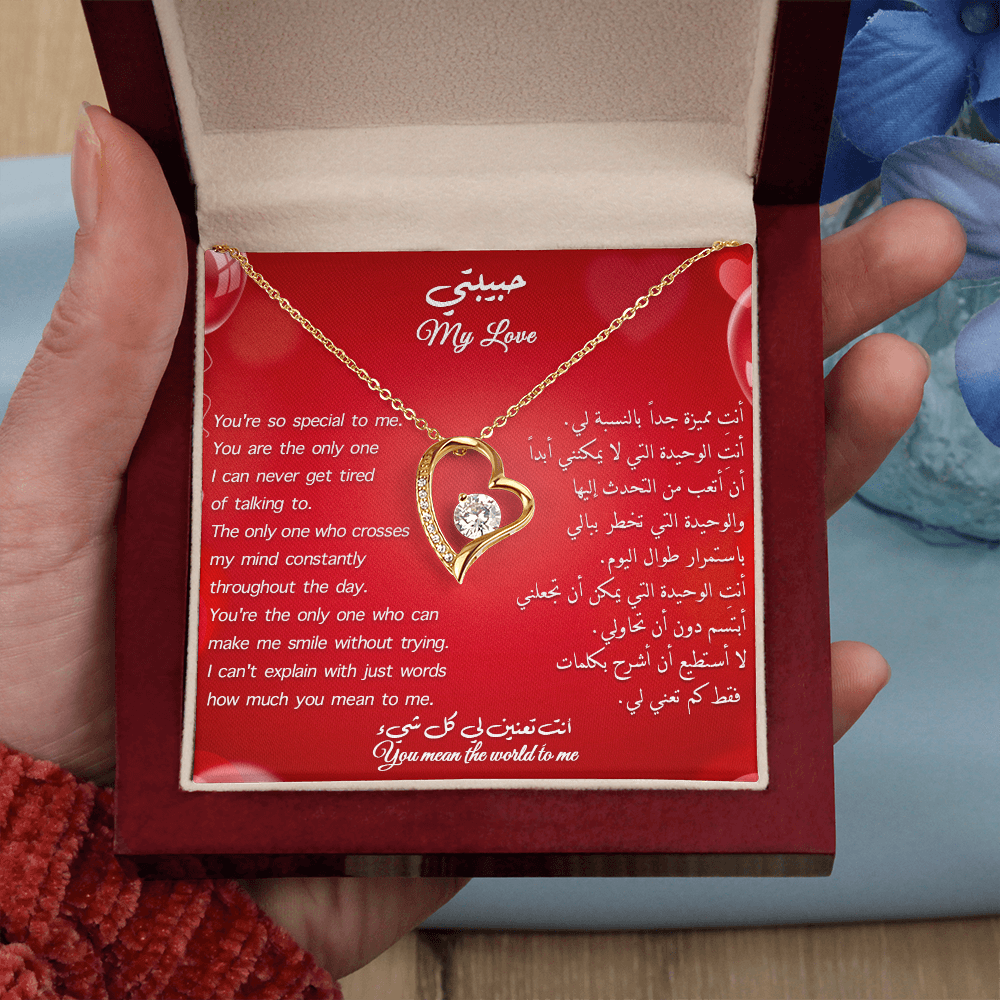 Gift to her _ You are special to me (Eng & arb)