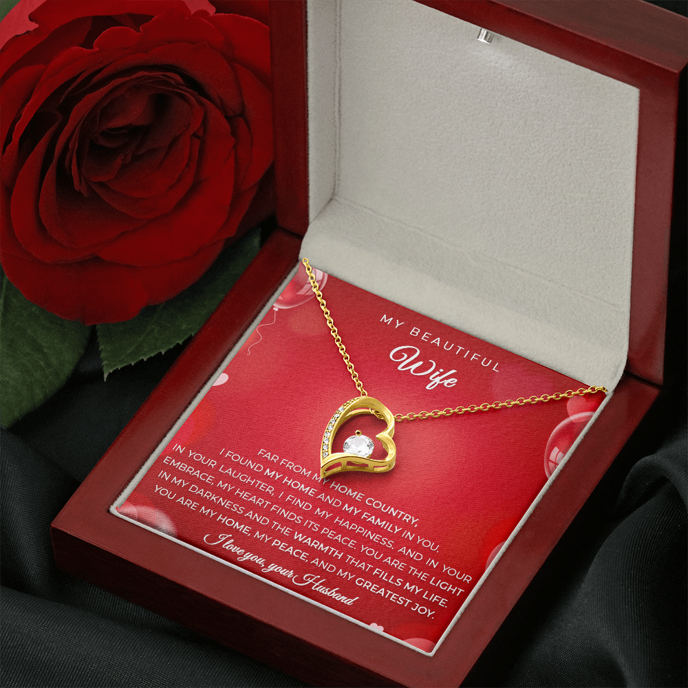 Gift from an Immigrant Husband to his Wife