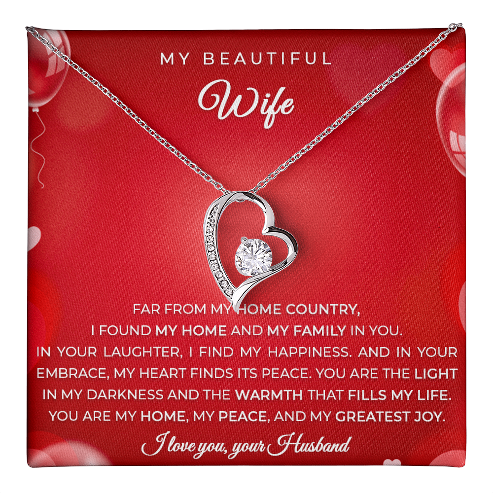 Gift from an Immigrant Husband to his Wife