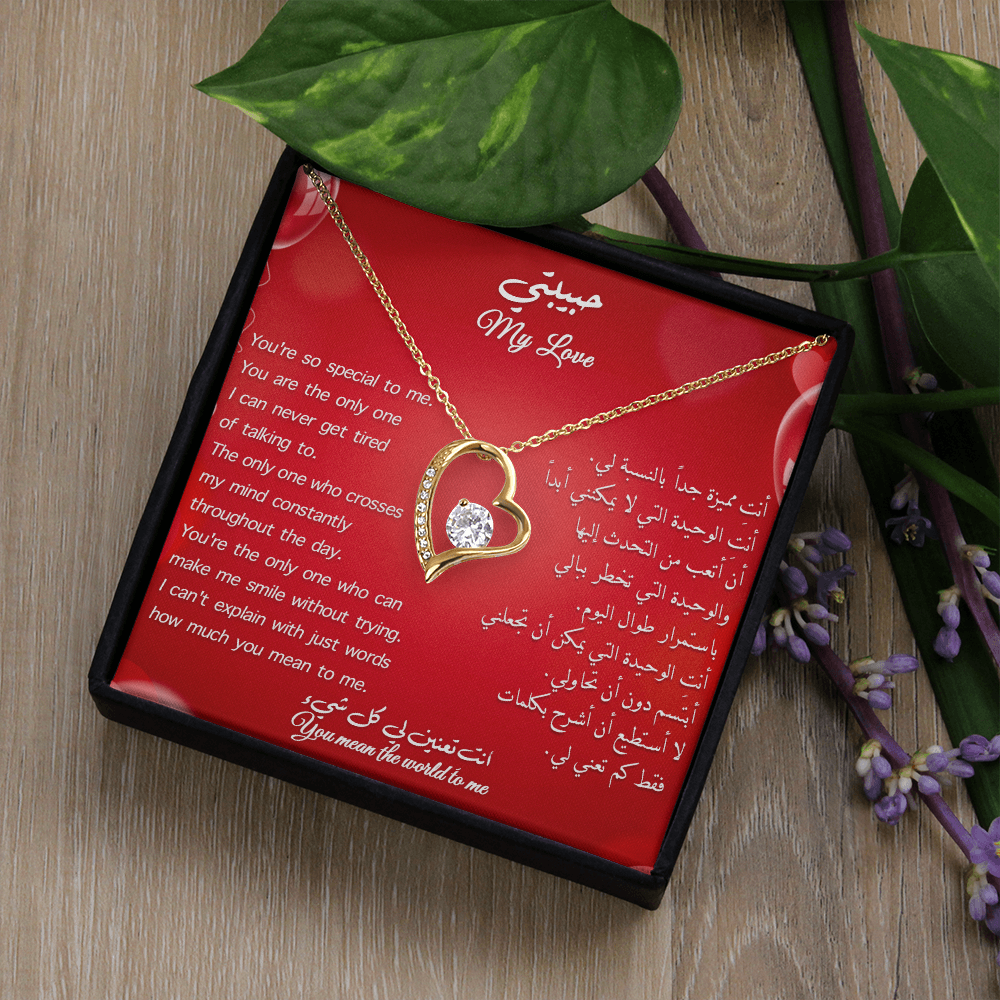 Gift to her _ You are special to me (Eng & arb)