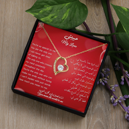 Gift to her _ You are special to me (Eng & arb)