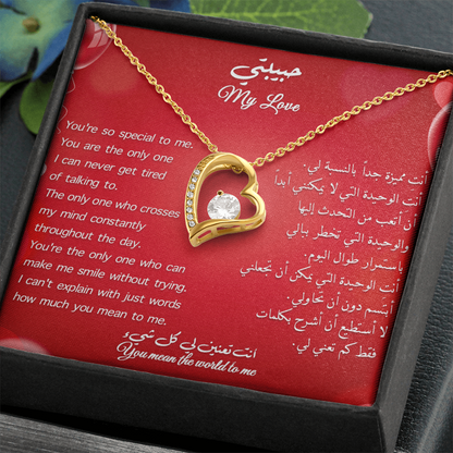 Gift to her _ You are special to me (Eng & arb)